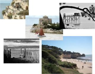 Chambre d'hôtes le Berceau - Meschers-sur-Gironde - 7