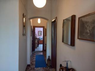 Calabria collina Antico Casale con giardino bio naturale OSTELLO SELF SERVICE ATTREZZATO - 2