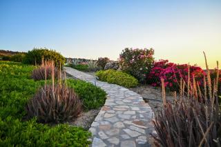 Schinoza Luxury Suites - Schinoussa - 6
