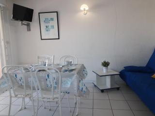 Appartement 2 pièces cabine pour 6 avec terrasse à Sète - FR-1-472A-164 - Sète - 7