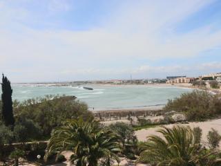 Appartement 2 pièces, terrasse 14m², face plage, pour 6 personnes, classé 2* - FR-1-472A-173 - 1