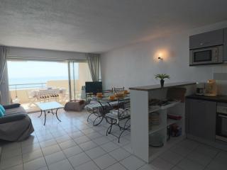 Appartement Climatisé Front de Mer avec Terrasse, Piscine, et Garage Privatif à Sète - FR-1-472A-217 - Sète - 9