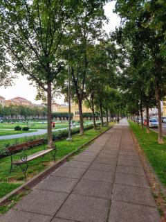Goldsmith's Treasure - Zagreb - 5