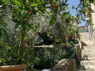 La Vecchia Taverna B&B - Prignano Cilento - 4