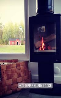 Old Pine Husky Lodge - Sompujarvi - 1