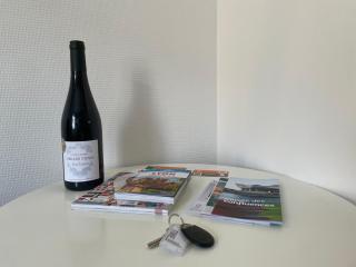 Time Capsule - Studio cosy - Caluire-et-Cuire - 1