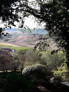 VILLA GIOIA - CHARMING VILLA TUSCANY COUNTRY IN TERRICCIOLA WiFi - Terricciola - 5