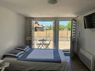 Tours, Touraine et Chateaux de la Loire - 2