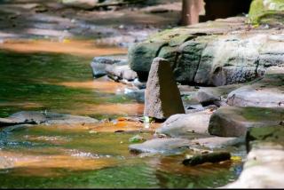 Complejo Don Raúl - 4