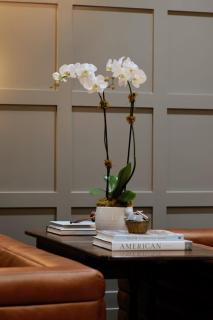 The Thomas Hotel - Garden Suite 2-Bedroom - 01 - Tyler - 1