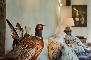 Kanuka Terrace - Luxury Strawbale House - Kaikoura - 7