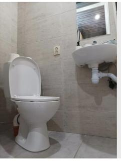 House&House 84 - 7