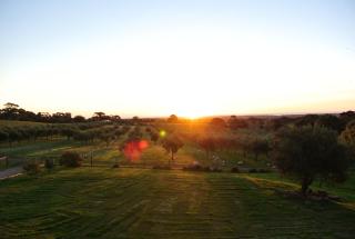 The Farm Willunga - 9