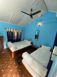 Nature Safari Camp - 8