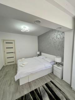 Timisoara Central Apartment New Parking !! - Timişoara - 2
