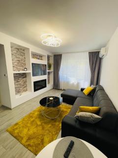 Timisoara Central Apartment New Parking !! - Timişoara - 5
