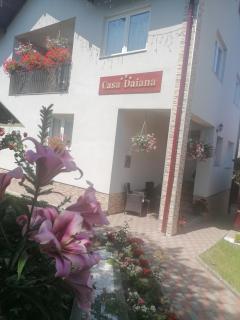 Casa DAIANA - Moisei - 9