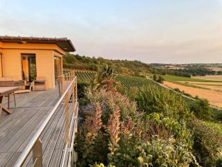 Maison des Coteaux blancs - Chaudefonds-sur-Layon - 7