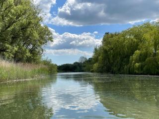 Roundhill New Forest - Fordingbridge - 4