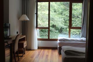 Ayder Hasimoglu Hotel - Ayder Yaylasi - 5