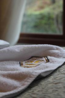 Ayder Hasimoglu Hotel - 3