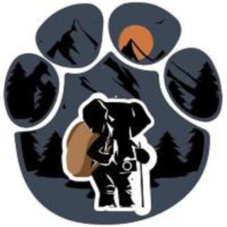 Tusker Tribe Hostel - 9