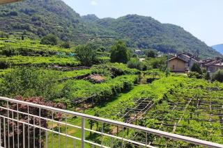 La casa dei nonni 3,0 - Carema - 7