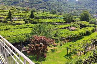 La casa dei nonni 3,0 - Carema - 8