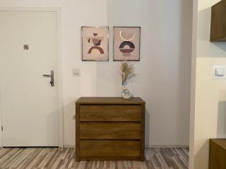 Urseni Studio Apartment - 1