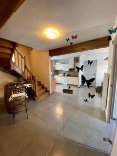 Canta aoussel - Moussoulens - 8