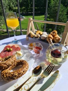 Oasis Titova vila - 1