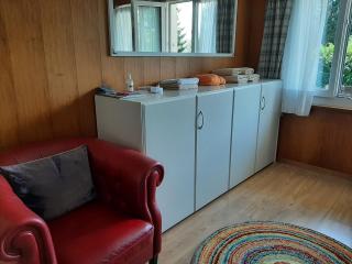 Chalet apartment by Interlaken. Parking - Ringgenberg - 9
