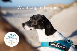 Haus Jungnamen Sand Whg. 14 - Wittdün - 2