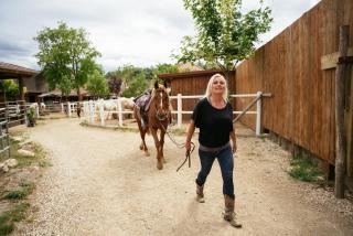 Ranchzimmer am Hippo-Campus Reit- und Therapiezentrum - Deutsch Haslau - 4