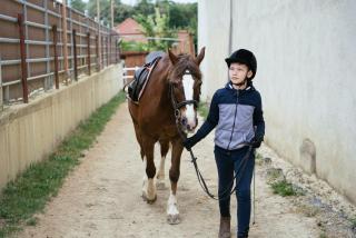 Ranchzimmer am Hippo-Campus Reit- und Therapiezentrum - 5