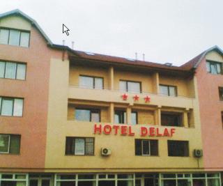 Hotel Delaf - Cluj-Napoca - 6