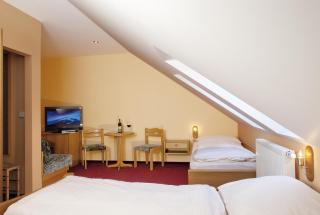 Wellness Hotel Marlin - 1