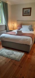 Green Garden meets Blue sea for 2 people - Dingle - 5