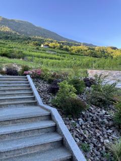 Nebbiolo Wine B&B - Castione Andevenno - 5