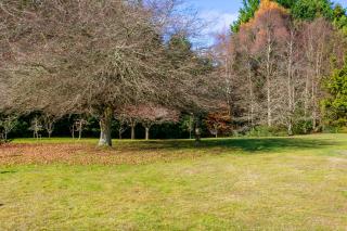 Lupin Lodge Bed & Breakfast - 8