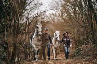 Tmbin's barn - nature, horses, family - Sežana - 4