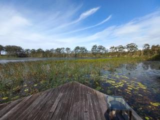 Lake Russell Lakeside Retreat - Emerald Beach - 8