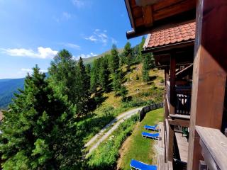Bergheim Schmidt, Almhütten im Wald Appartments an der Piste Alpine Huts in Forrest Appartments near Slope - Turracher Höhe - 7