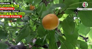 Mount Feast Hotel Skardu - 1