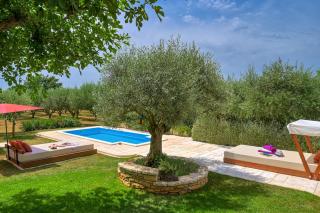 Casa Oliveto - Marčana - 7