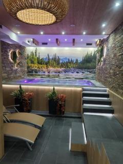 Wellness Resort Kamzík - 1