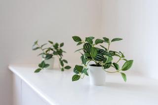 Jasmine Villa B - Ideal for QMC & Uni - Free parking - 7