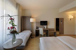 Hôtel de la Rose - Freiburg im Üechtland - 9