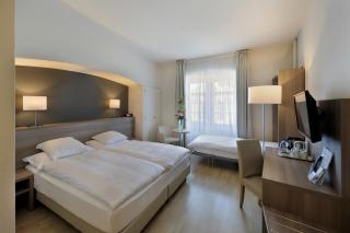 Hôtel de la Rose - Freiburg im Üechtland - 8