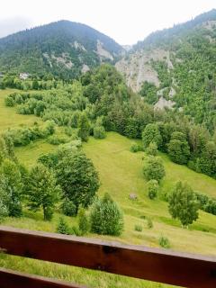 Mosorel - Măgura - 8